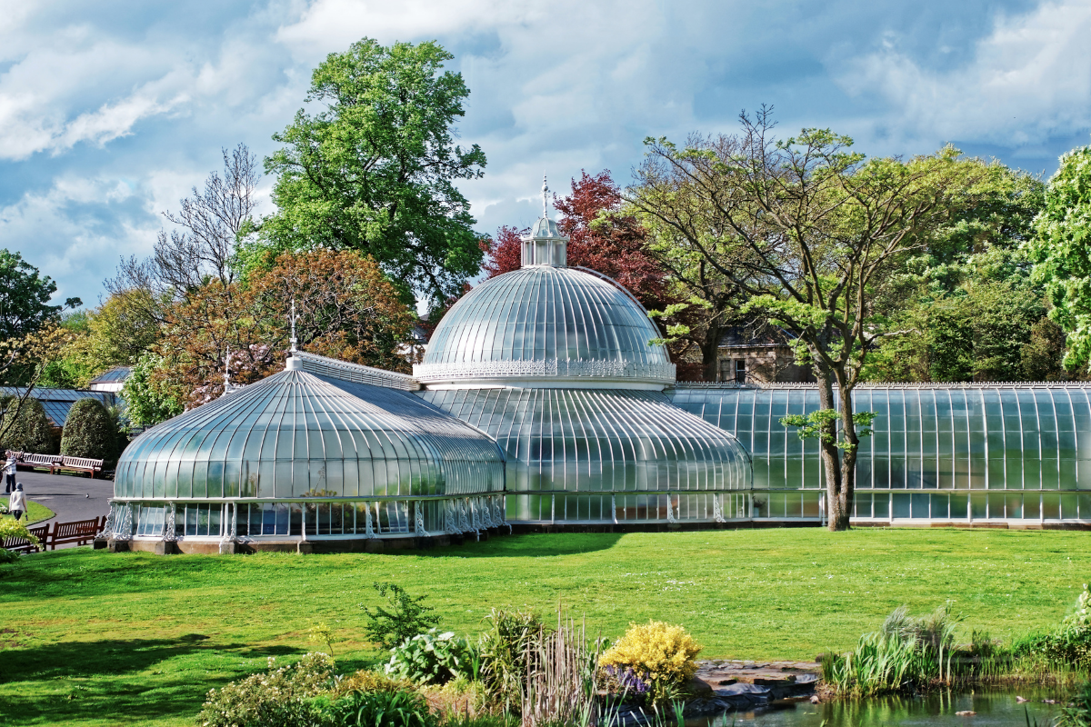 Glasgow Botanic Gardens.