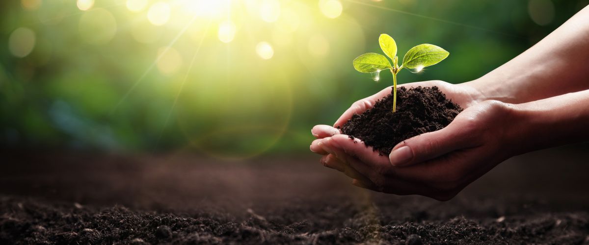East Kilbride sustainability